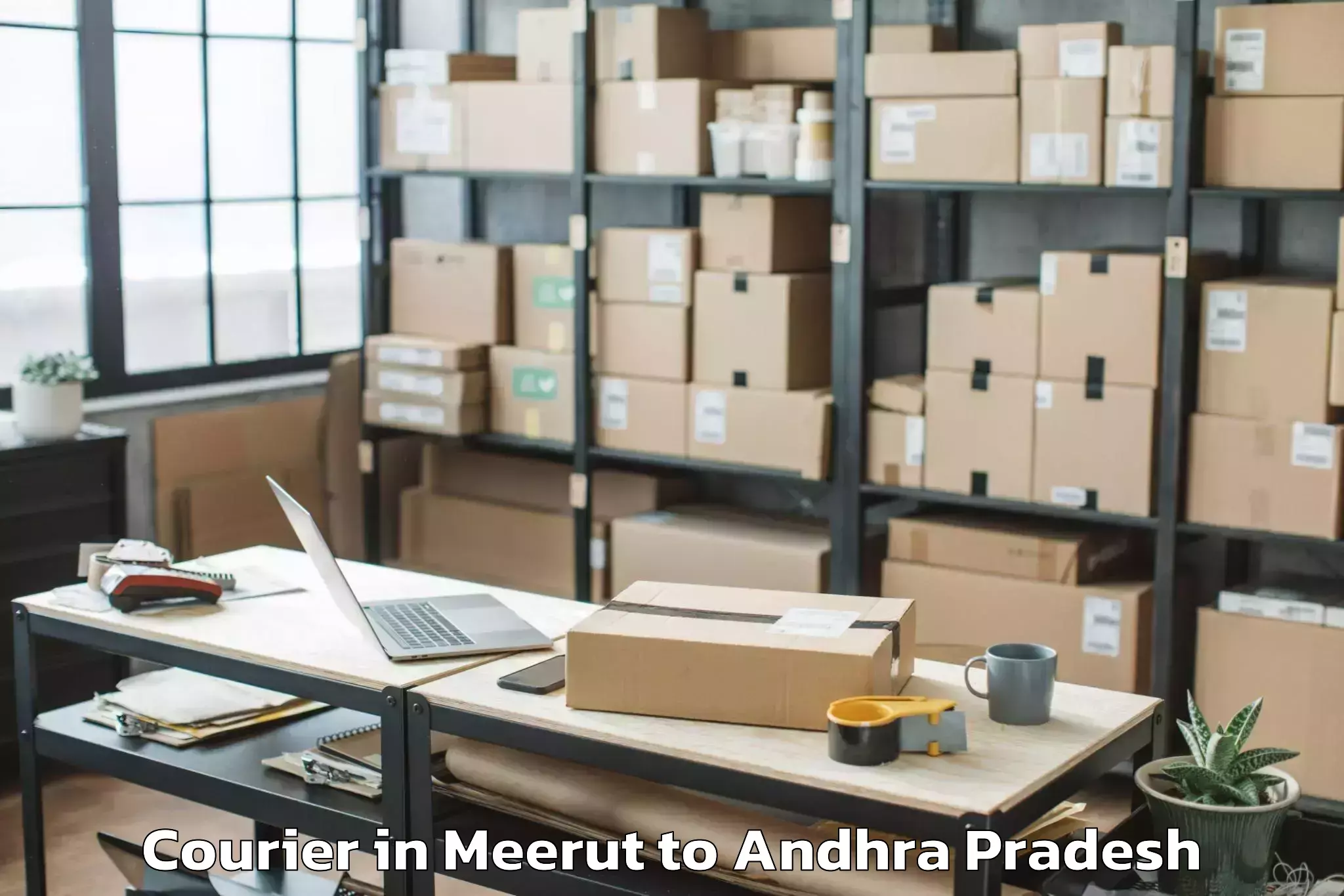 Meerut to Thamminapatnam Courier Booking